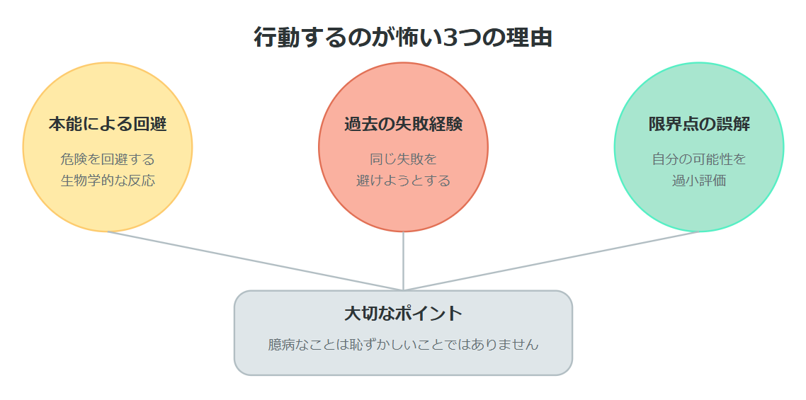 行動するのが怖いと感じる3つの理由　のインフォグラフィック