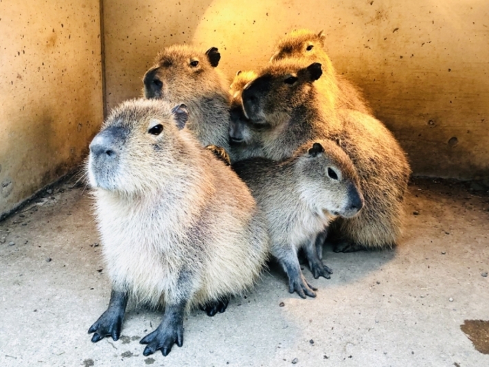 受け身で仕事をする人の特徴