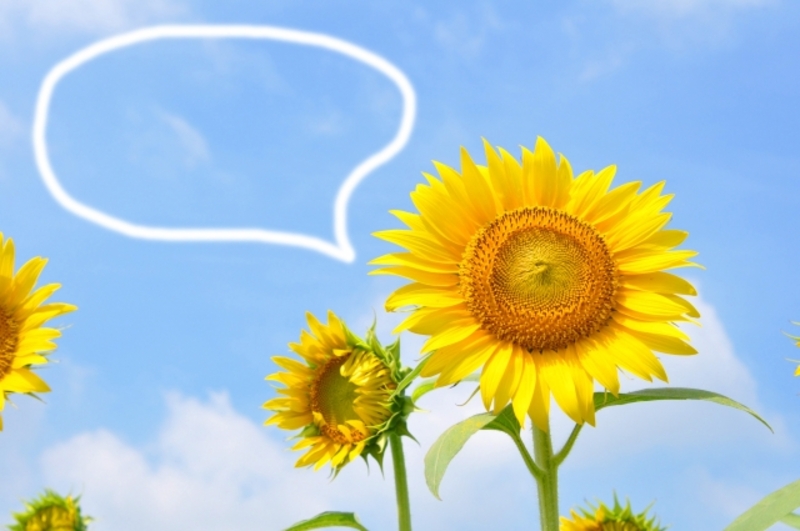 仕事の失敗で落ち込むクセをただちに解消するコツ