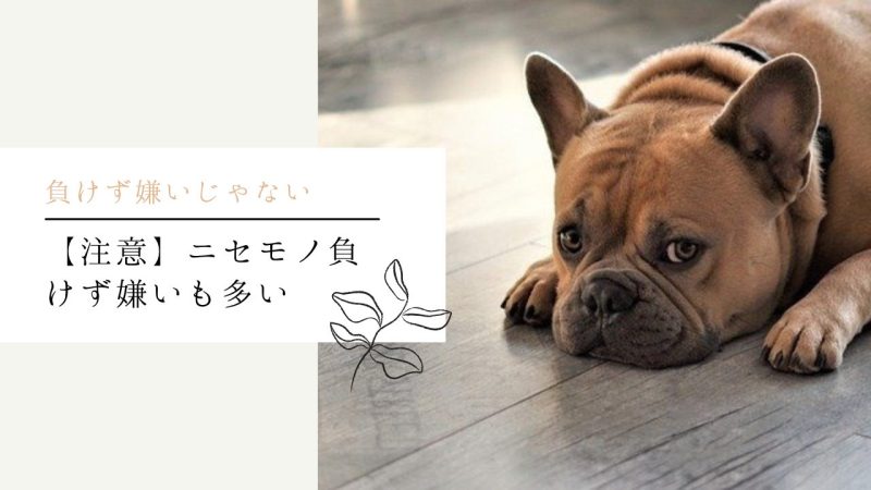 【注意】ニセモノ負けず嫌いも多い