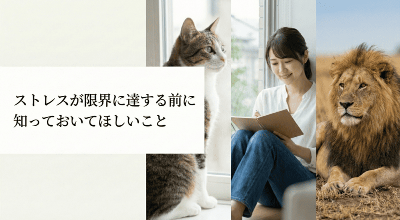 ストレスが限界に達する前に知っておいてほしいこと